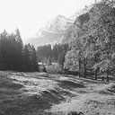 Ein Alpsegen, Richisau, Klöntal
(zoom 78kb)